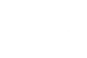 Delphi-technologies-300x202.png-1
