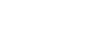 Wildcare_white.png